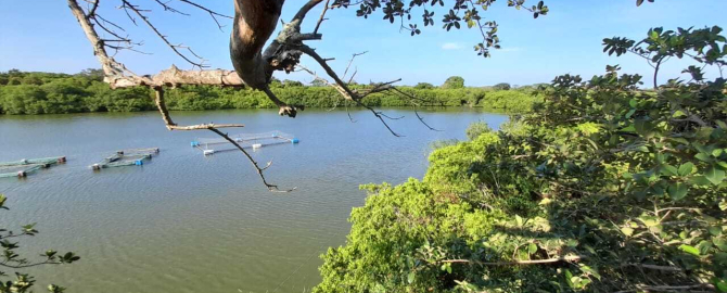 Natural Protected Areas